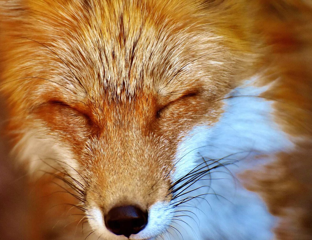 17-10-17-5 17-10-17-5